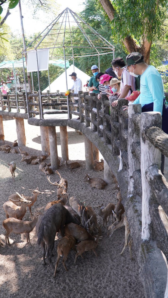 Thảo Cầm Viên Sài Gòn nhộn nhịp đón khách, miễn phí trẻ em dưới 1,3 m - Ảnh 15.