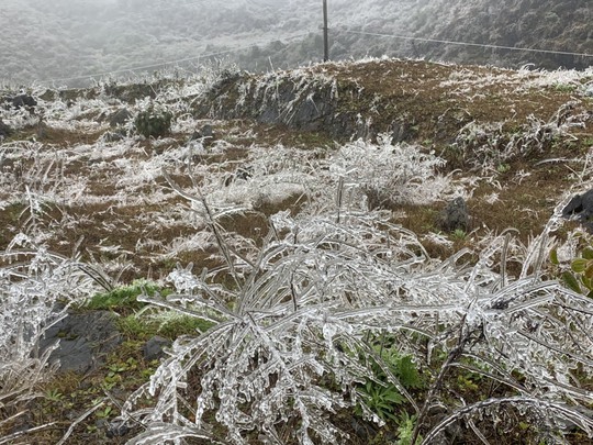Hoa đào đóng băng giữa mùa xuân, du khách đổ xô ra miền Bắc săn tuyết - Ảnh 3.