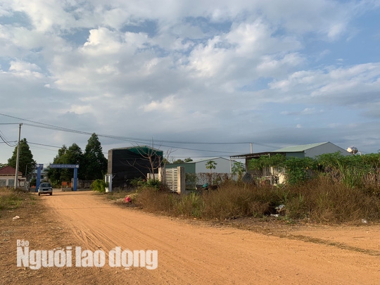 Nguyên phó phòng TN-MT huyện trúng đấu giá trọn gói 67 lô đất trái luật - Ảnh 1.