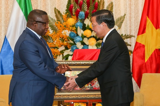 Chủ tịch UBND TP HCM Phan Văn Mãi tiếp Tổng thống Sierra Leone - Ảnh 5.