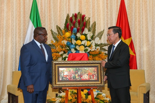 Chủ tịch UBND TP HCM Phan Văn Mãi tiếp Tổng thống Sierra Leone - Ảnh 4.