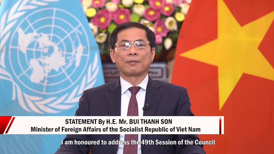 Bộ trưởng Bùi Thanh Sơn phát biểu tại Phiên họp Hội đồng Nhân quyền Liên Hiệp Quốc - Ảnh 1.