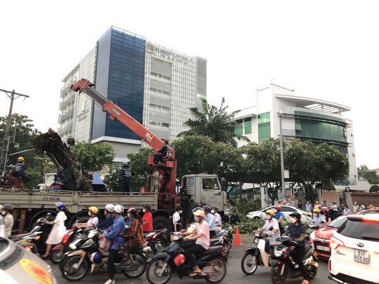 CLIP: Xử lý cây đa khổng lồ ngã trước Bệnh viện Ung bướu TP HCM - Ảnh 5.