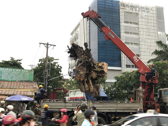 CLIP: Xử lý cây đa khổng lồ ngã trước Bệnh viện Ung bướu TP HCM - Ảnh 3.