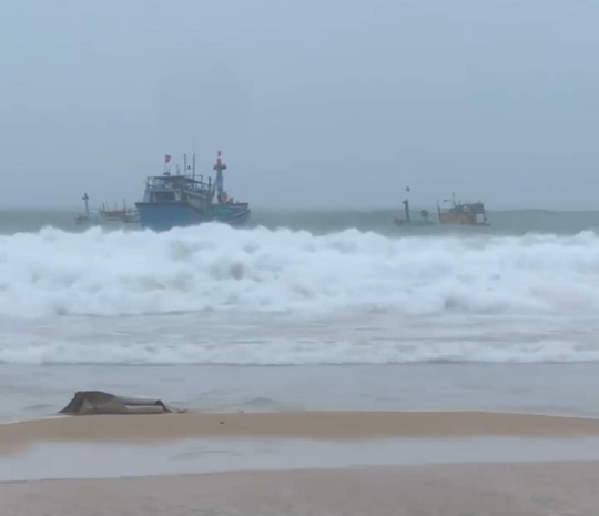 Phú Yên: Sóng lớn khiến 2 người mất tích, chìm hư hỏng hơn 50 tàu cá - Ảnh 5.