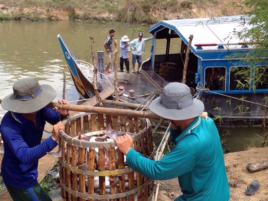 Hạnh phúc khi được sẻ chia - Ảnh 1.