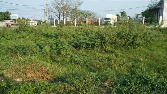 Đà Nẵng cảnh báo tình trạng cò chuyển đổi đất nông nghiệp sang đất ở - Ảnh 1.