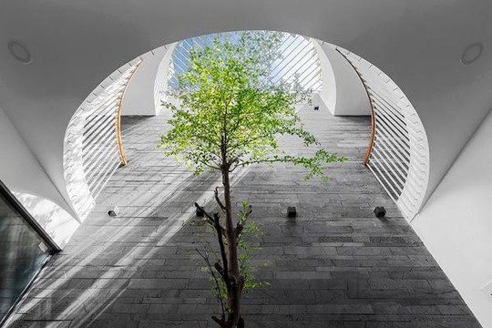 Những xu hướng thiết kế giếng trời năm 2022 để ngôi nhà sang, đẹp - Ảnh 1.