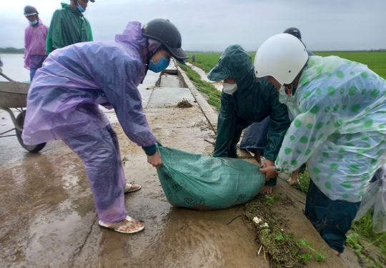 Thừa Thiên - Huế: Mưa trắng trời, nhiều nơi bị ngập, bộ đội dầm mình trong nước cứu lúa giúp dân - Ảnh 1.