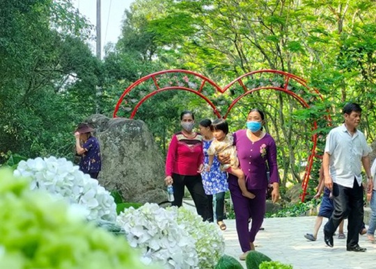 Hàng ngàn cây hoa khoe sắc tại Lễ hội tình yêu hòn Trống Mái - Ảnh 13.