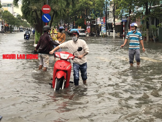 CLIP: Mưa cực lớn, đường phố Bạc Liêu chìm trong biển nước - Ảnh 6.