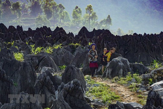 Chiêm ngưỡng vẻ đẹp hoang sơ của cao nguyên đá cổ Tả Phìn - Ảnh 8.