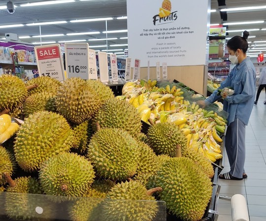Vào chính vụ, giá sầu riêng vẫn cao - Ảnh 1. Vào chính vụ, giá sầu riêng vẫn cao - Ảnh 1.