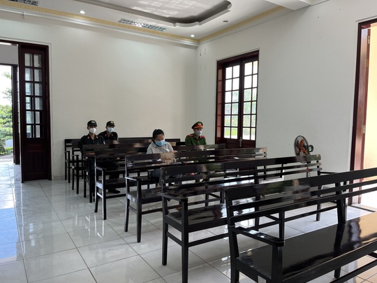 Mẹ thuê người bắt cóc con gái, con rể kích động nên giết người - Ảnh 3.