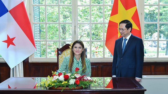 Bộ trưởng Bùi Thanh Sơn hội đàm với Bộ trưởng Ngoại giao Panama - Ảnh 5.