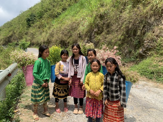 Ngỡ ngàng ngắm hoa tam giác mạch trái mùa ở Hà Giang - Ảnh 12.
