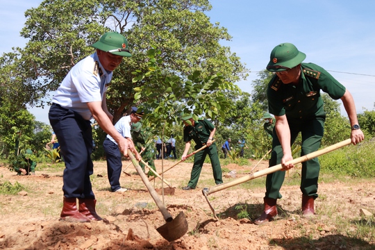 Trồng 2.000 cây xanh tại các đơn vị Bộ đội Biên phòng tỉnh Đắk Lắk - Ảnh 1.