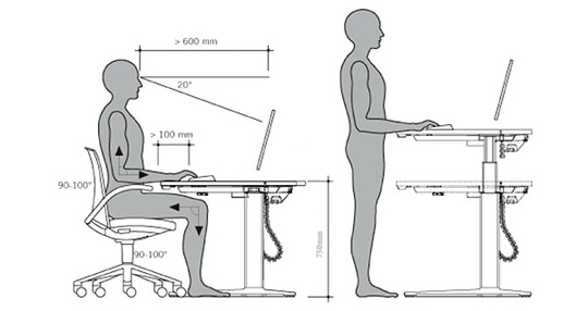 Các tư thế giải quyết tình trạng đau mỏi lưng - Ảnh 5.