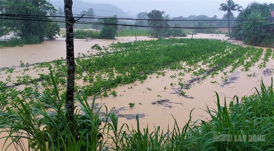 Mưa lớn kéo dài suốt đêm, nhiều nơi ở Lâm Đồng bị ngập sâu - Ảnh 3.