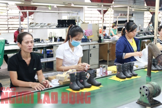 Ồ ạt rút BHXH một lần: Giảm số năm đóng, tăng mức hưởng - Ảnh 2.