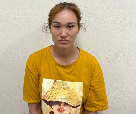 Cô gái giả danh cán bộ tòa án, luật sư lừa đảo làm thủ tục ly hôn nhanh - Ảnh 1.