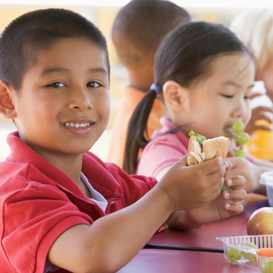 Suy dinh dưỡng vẫn là một thách thức lớn đối với trẻ em Đông Nam Á - Ảnh 3.