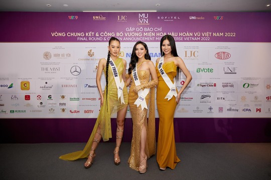 Cận cảnh chiếc vương miện gắn hơn 2.000 viên kim cương của Tân hoa hậu Hoàn vũ - Ảnh 3.