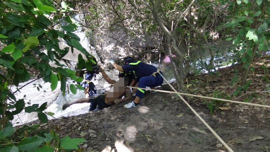 3 thi thể trong một gia đình ở Tây Ninh được phát hiện bên ngoài bờ rào một công ty cao su - Ảnh 1.