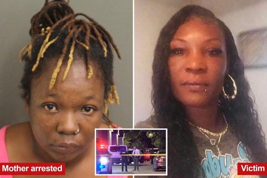 Mỹ: Bé gái 10 tuổi lấy súng bắn chết người đánh nhau với mẹ mình - Ảnh 1.