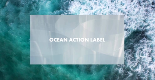 UPM Raflatac ra mắt vật liệu nhãn dán giảm ô nhiễm nhựa đại dương - Ảnh 1.