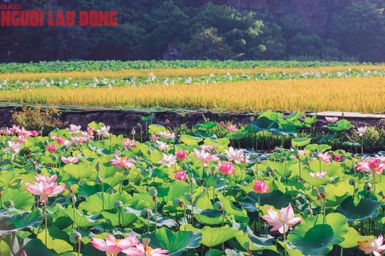 Mát lành ngày hạ - Ảnh 3.