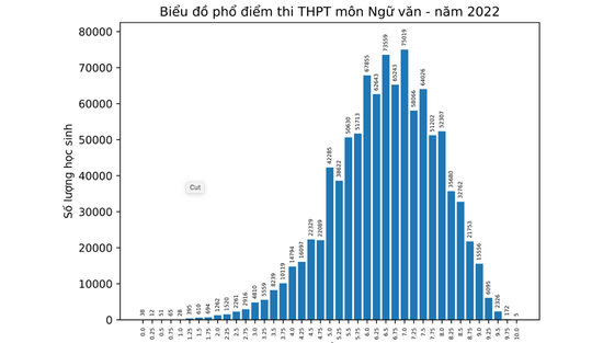 Bộ GD-ĐT công bố phổ điểm thi tốt nghiệp THPT 2022 - Ảnh 8.