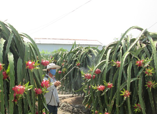 Giữ uy tín cho hàng Việt - Ảnh 1.