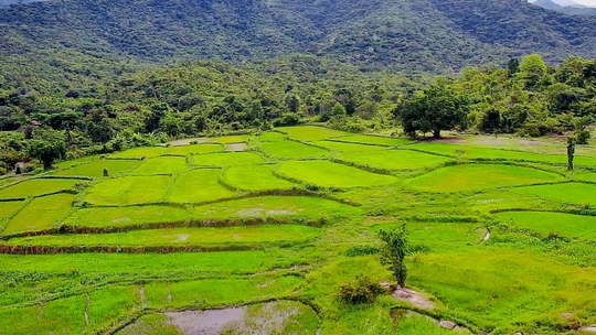 Ninh Thuận có suối Ô Căm - Vẻ đẹp thiên nhiên giữa núi rừng Bác Ái - Ảnh 6.