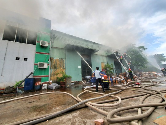 Cháy lớn tại xưởng sản xuất công ty gỗ ở Bình Định - Ảnh 7.