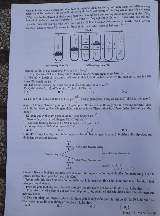 Đề thi môn tổ hợp phân hóa, không đánh đố; đón xem gợi ý giải đề trên Báo Người Lao Động - Ảnh 5.