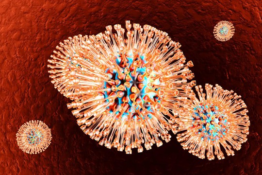 Virus thủy đậu kết hợp virus bệnh tình dục kích hoạt bệnh nan y khác - Ảnh 1.