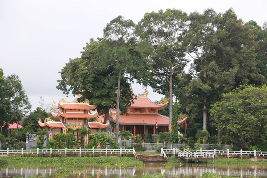 Chạy giữa Đồng Tháp Mười - Ảnh 4.