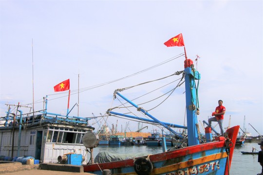 Ngư dân Bình Định xúc động đón nhận cờ Tổ quốc - Ảnh 10.