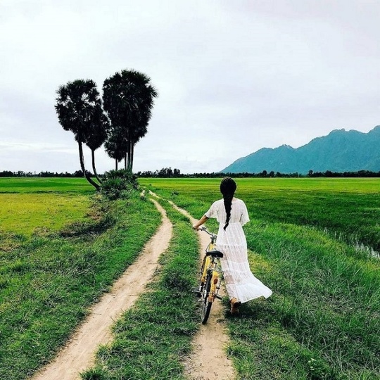 Check-in những cây cô đơn khắp Việt Nam - Ảnh 7.
