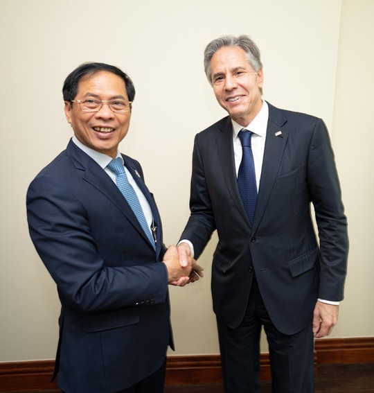 Bộ trưởng Ngoại giao Bùi Thanh Sơn gặp Ngoại trưởng Mỹ Antony Blinken - Ảnh 2.
