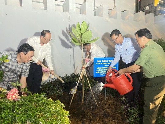 TP HCM tổ chức trồng cây bàng vuông do quân và dân Trường Sa gửi tặng - Ảnh 2.