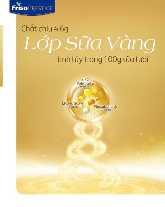 Friso Prestige với công thức dinh dưỡng từ “Lớp sữa vàng tinh túy” giúp bé tăng cường miễn dịch - Ảnh 3.