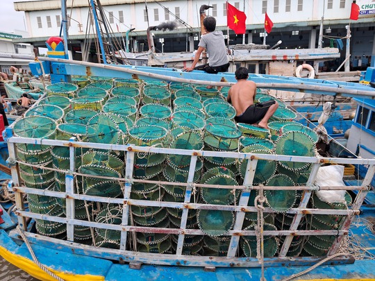 Rập ốc hương trên biển, thu tiền triệu mỗi đêm - Ảnh 5.
