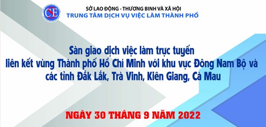 Tổ chức sàn việc làm kết nối trực tuyến liên kết vùng - Ảnh 1.