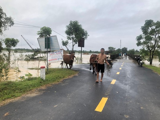 Hà Tĩnh: Mưa lớn gây ngập quốc lộ 1, lực lượng chức năng buộc phải cấm đường - Ảnh 7.
