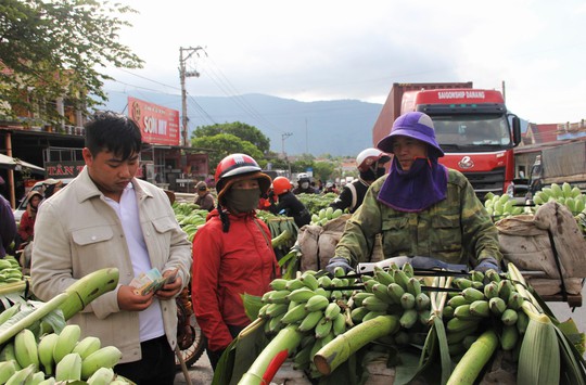 Tấp nập chợ chuối mật mốc lớn nhất Quảng Trị ngày cuối năm - Ảnh 3.