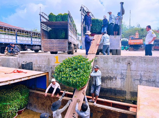 Chở Tết ra đảo tiền tiêu Lý Sơn - Ảnh 2.