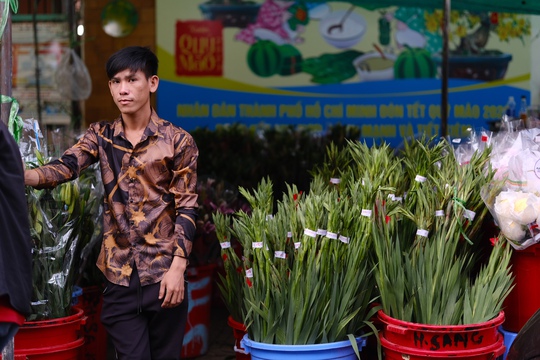 Chợ hoa Hồ Thị Kỷ đông nghẹt người, nhiều nơi xổ hàng giá rẻ - Ảnh 6.
