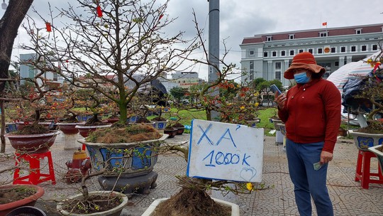 Hoa Tết Đà Nẵng: Hạ giá, sale sập sàn vẫn vắng người mua - Ảnh 2.